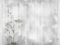 Каталог Trend Art, арт. DP410-COL4