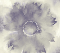 Обои KT-Exclusive L Atelier de Paris AH40509