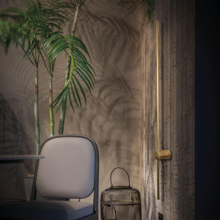 Настенный светильник Loft It (Light for You) Rays 10159GR