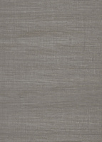 Обои Architector Evolve (EV01102)