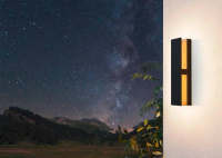 Уличный настенный светильник Eglo COSTORIO 900291