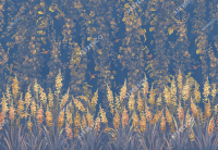 Фрески, Каталог Ботаника, арт. ID138652