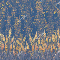 Фрески, Каталог Ботаника, арт. ID138652