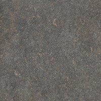 Керамогранит NATIVE FOREST RET	80X80