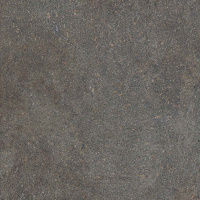 Керамогранит NATIVE FOREST RET	120X120