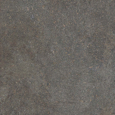 Керамогранит NATIVE FOREST LAP RET	120X120