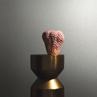 Обои Marburg Eclectic 34911