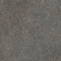 Керамогранит NATIVE FOREST RET	80X80