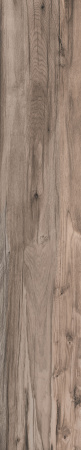 Плитка напольная DOLPHIN OAK AGED RETT.	20X120