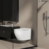 Унитаз ABBER Bequem AC1126P подвесной белый с импульсным смывом