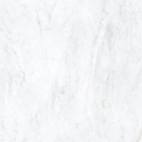 Керамическая плитка BIANCO BERNINI LAPP RETT	120X120