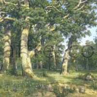 Фрески, Каталог Живописный пейзаж, арт. 4427