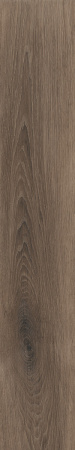 Керамогранит ECO CHIC BROWN RET  20X170