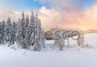 Фрески, Каталог Фотоискусство, арт. ID12381