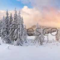 Фрески, Каталог Фотоискусство, арт. ID12381