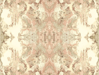 Обои York Candiсe Olson Botanical Dreams NA0595