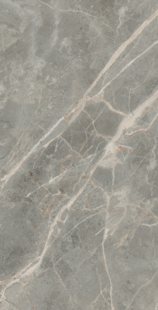 Керамогранит ETOILE GRIS GLOSSY 10 мм 40x80 RET