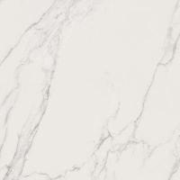 Керамическая плитка SENSI STATUARIO WHITE SABLE RET	60X60