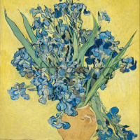 Картина: Винсент Ван Гог, Иррисы